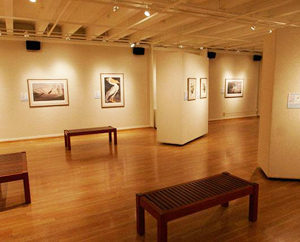 art gallery insurance coverage